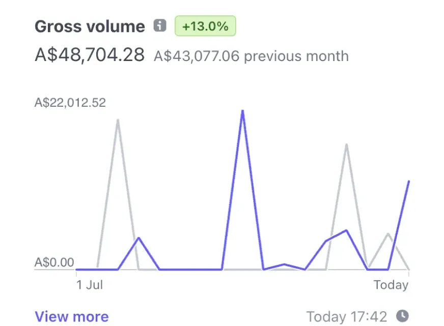 Client revenue screenshot 5
