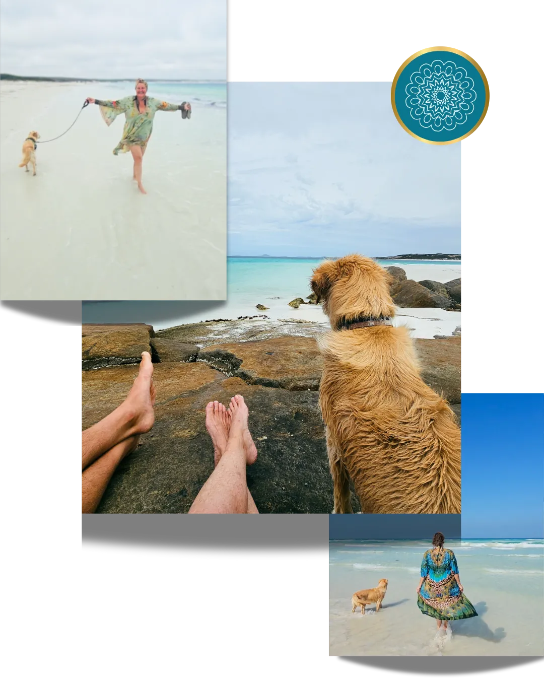 Freedom lifestyle at the beach with golden retriever and living water hydration from Kangen K8 for vitality and energy.