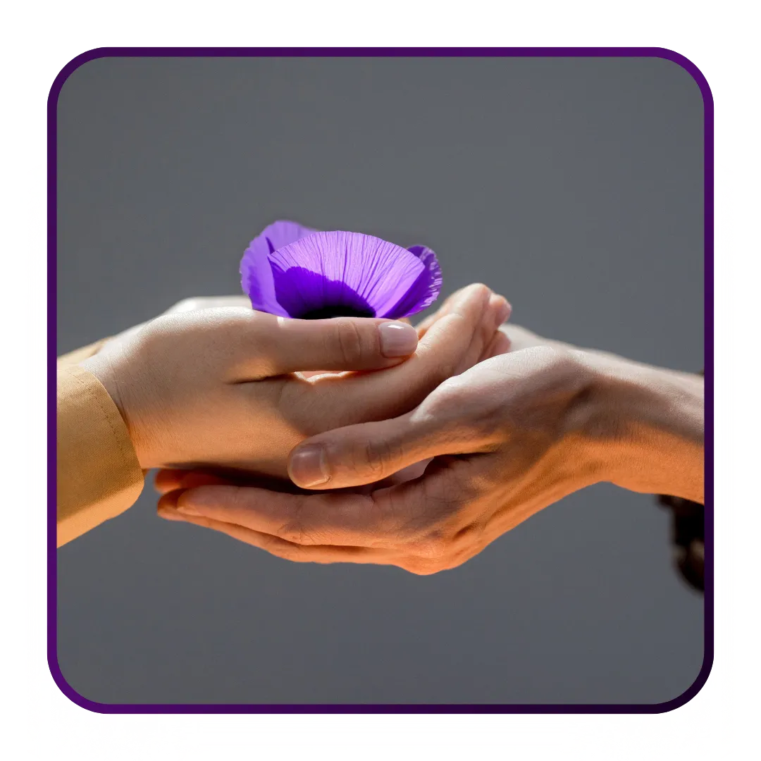 Qiuck Cash Land Trusted Experts