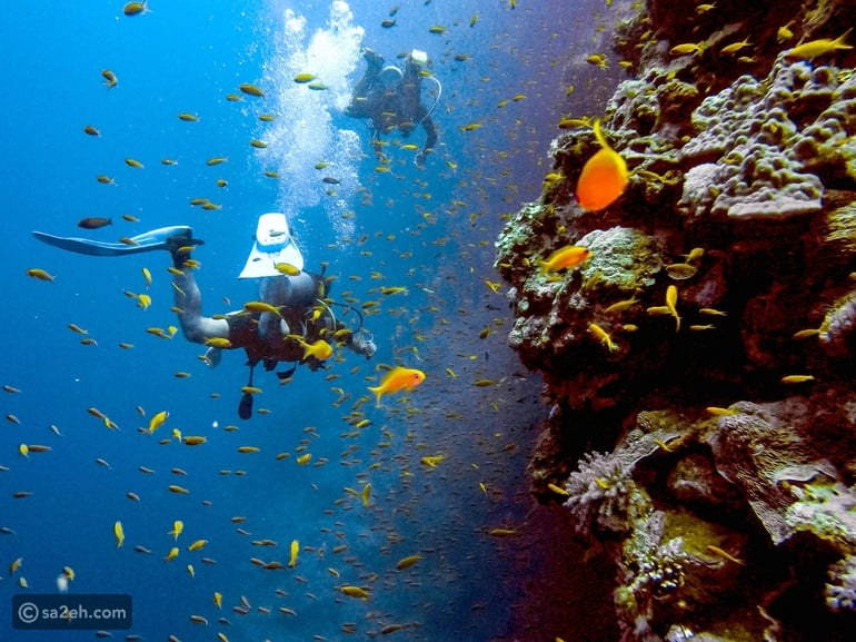 سياحة المغامرات: جبال شاهقة وغوص في أعماق آسيا