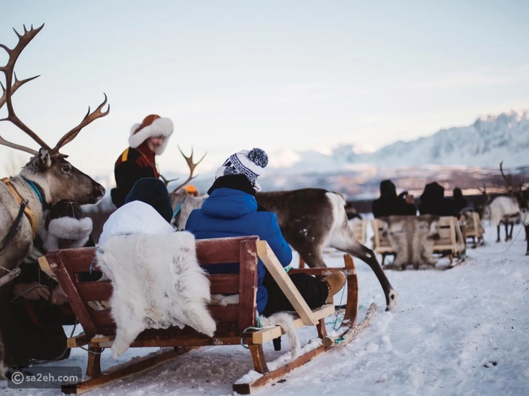رحلات شتوية لعشاق المغامرة.. استعد لتجربة لا مثيل لها