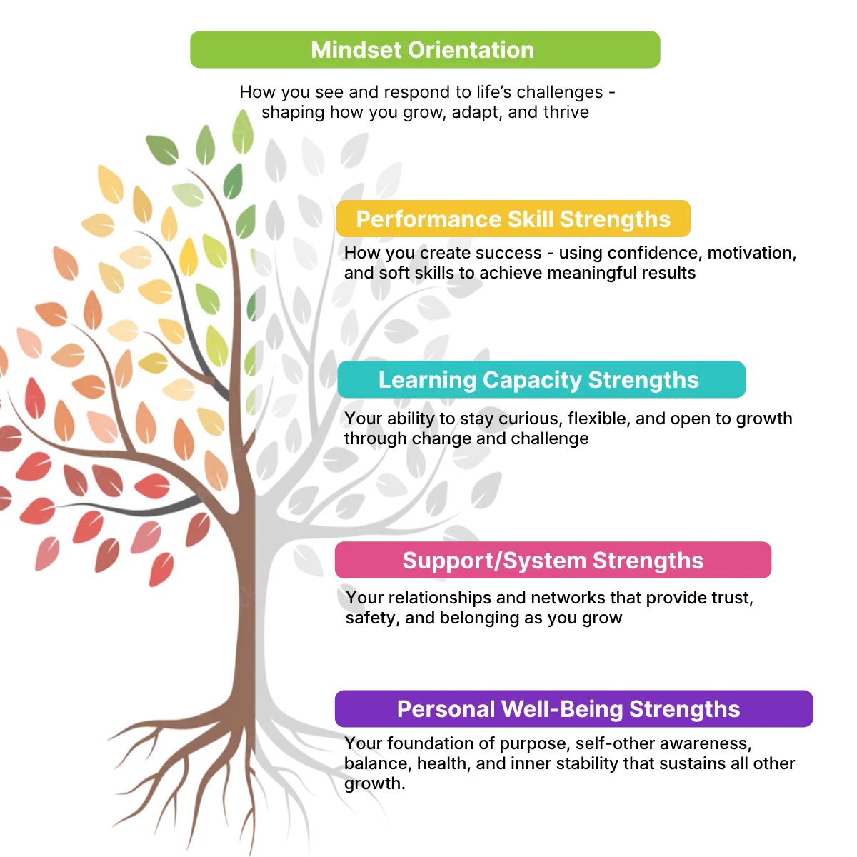 Flourishing Mindset Tree
