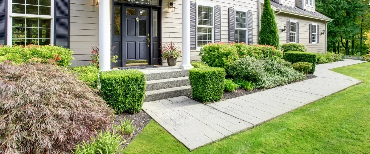 Sidewalk after pressure washing services done by Mr. Binz,