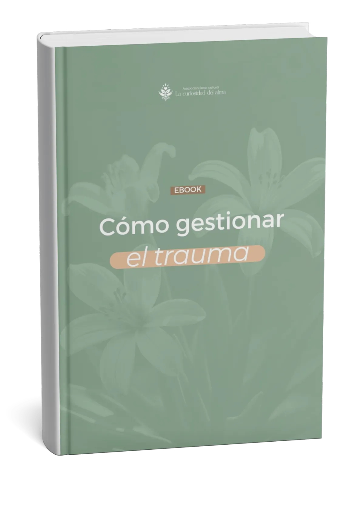 Portada del ebook Trabajando tus traumas