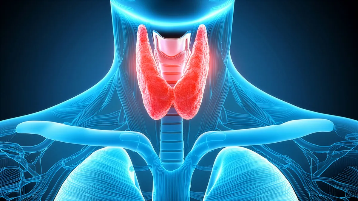 Importance of selenium for the thyroid