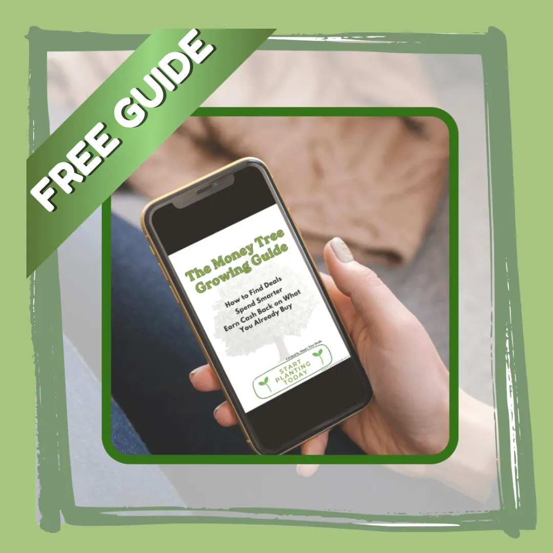 Money Tree Growing Guide