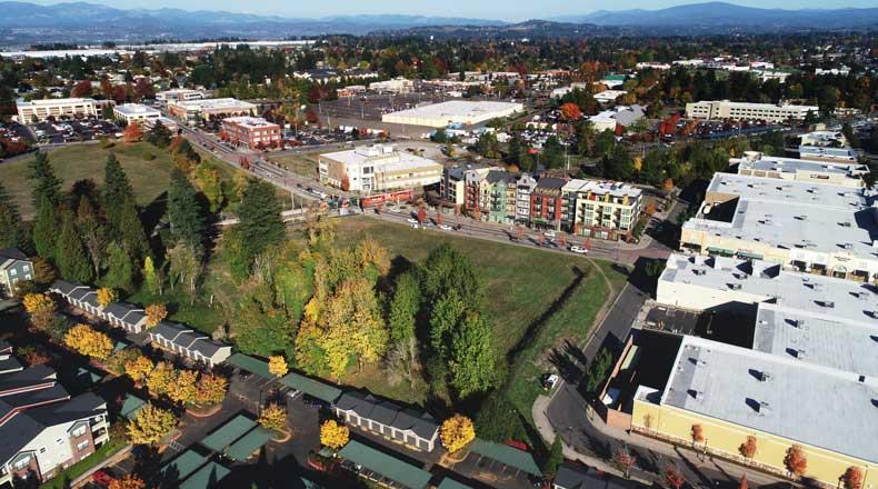 Water Feature Care in Portland