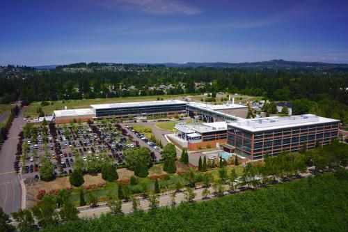 Water Feature Care in Portland