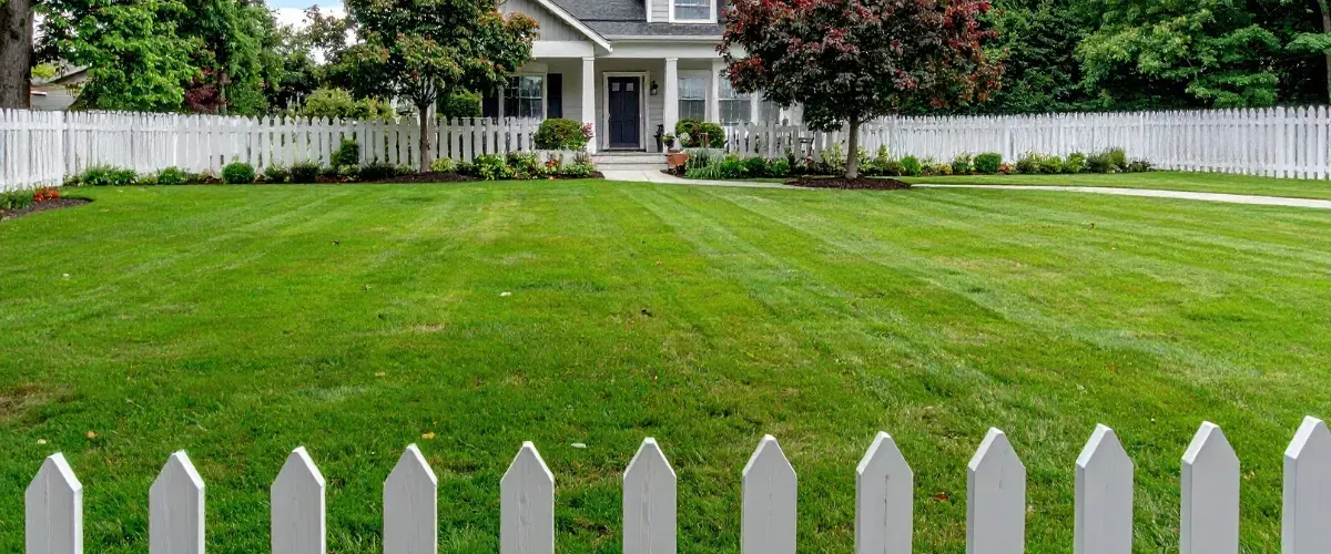 Beautiful green front yard with white picket fence and house in background