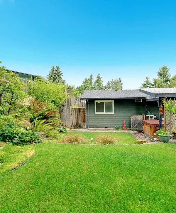 Green backyard lawn with a small shed and garden plants under a clear blue sky.