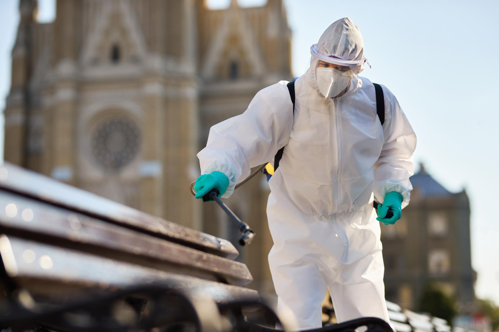 Common Signs You Need Pest Control ServicesCommon Signs You Need Pest Control Services