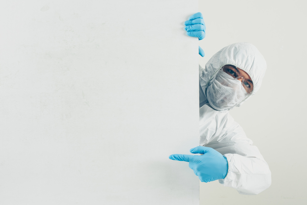 Benefits of Regular Pest Control Maintenance for Businesses