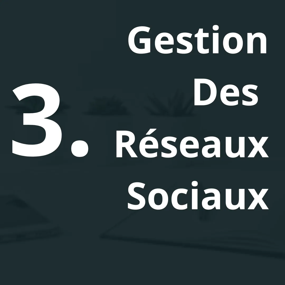 Gestion des réseau sociaux