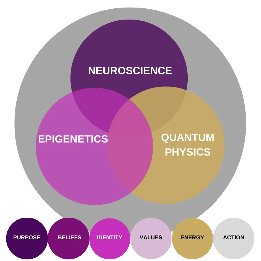 Diagram of SOVEREIGN Alignment, showing Neuroscience, Epigenetics and Quantum Physics overlapping - guided by Superconscious