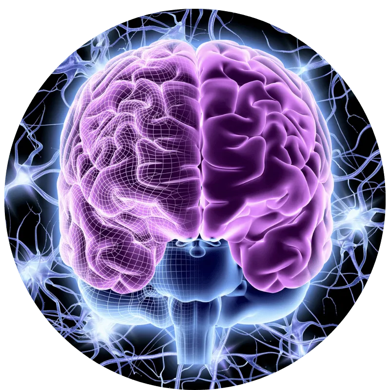 Jill Martin Transformational Breakthrough Coach pointing to the steps of a Breakthrough Coaching Session