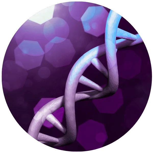 Vector image of handshake representing business deal