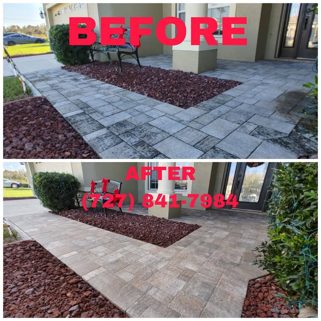 House Washing New Port Richey, FL