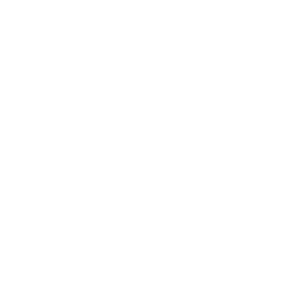 DG Saimaa