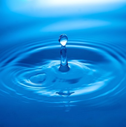 #1: The Gut-Brain Connection