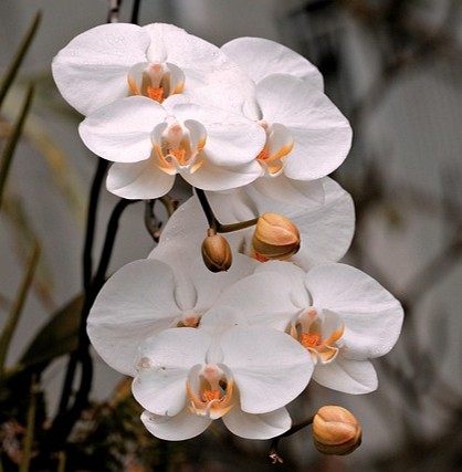 #4: The Initial Reset