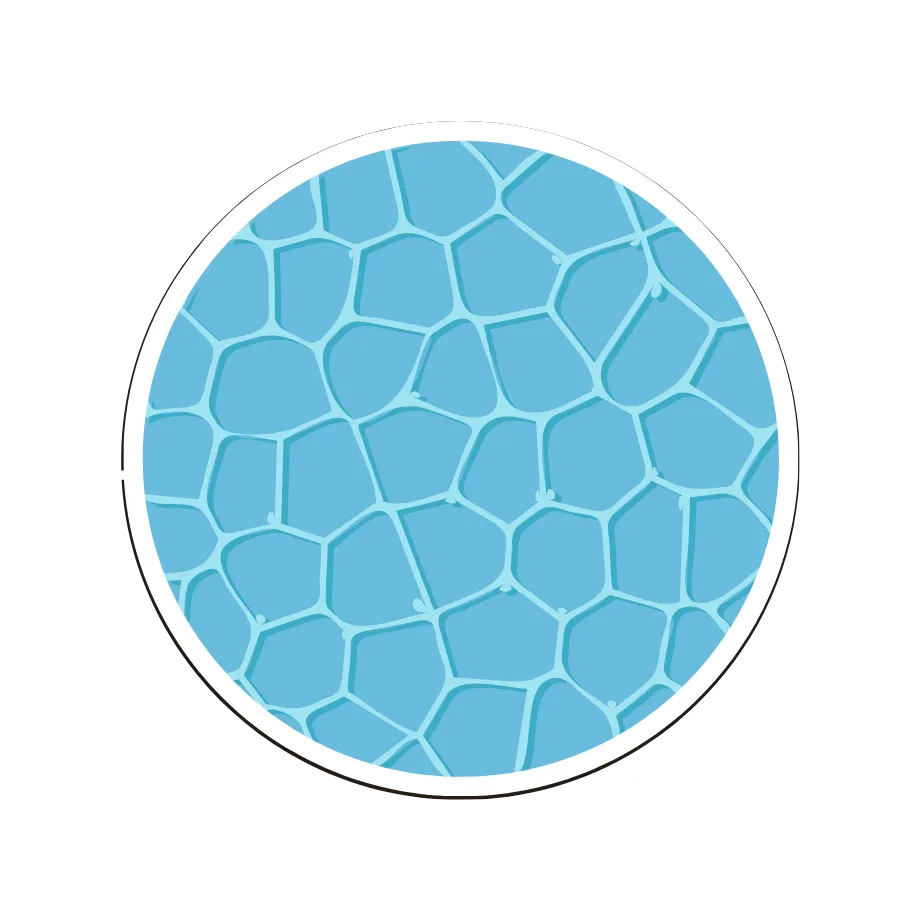 Pool Decks of Hollywood Logo