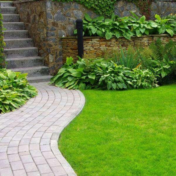 Gepflasterter Garten eg mit Stufen und grüner Bepflanzung