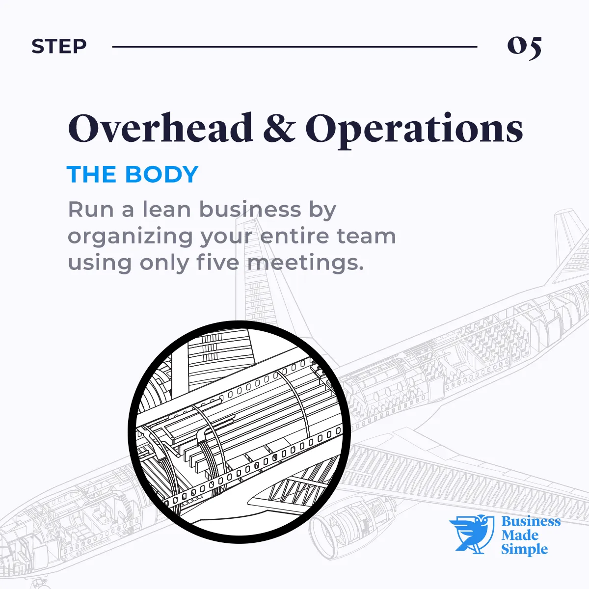 Step 5: Management | The Body