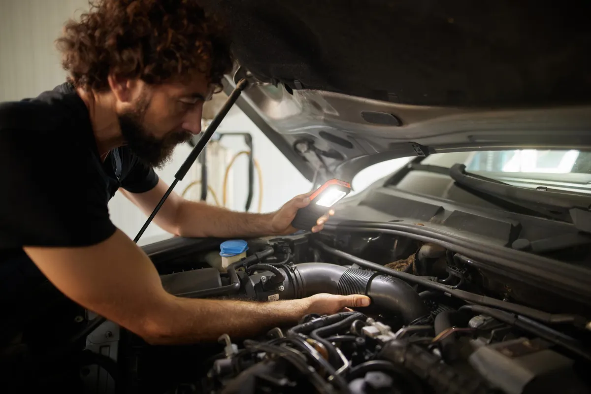 independent inspection