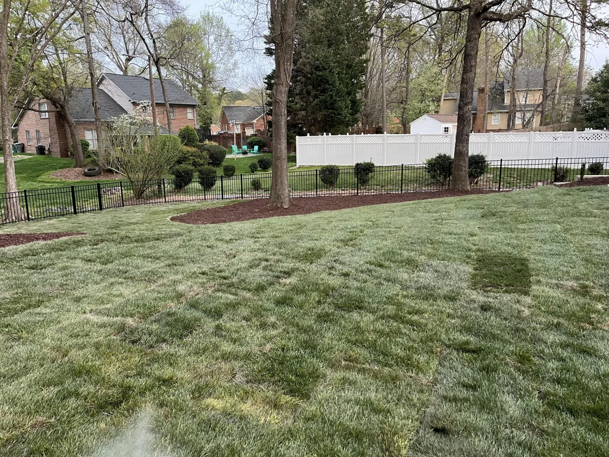 Landscaping and drainage project in Davidson, NC (Lake Norman area)