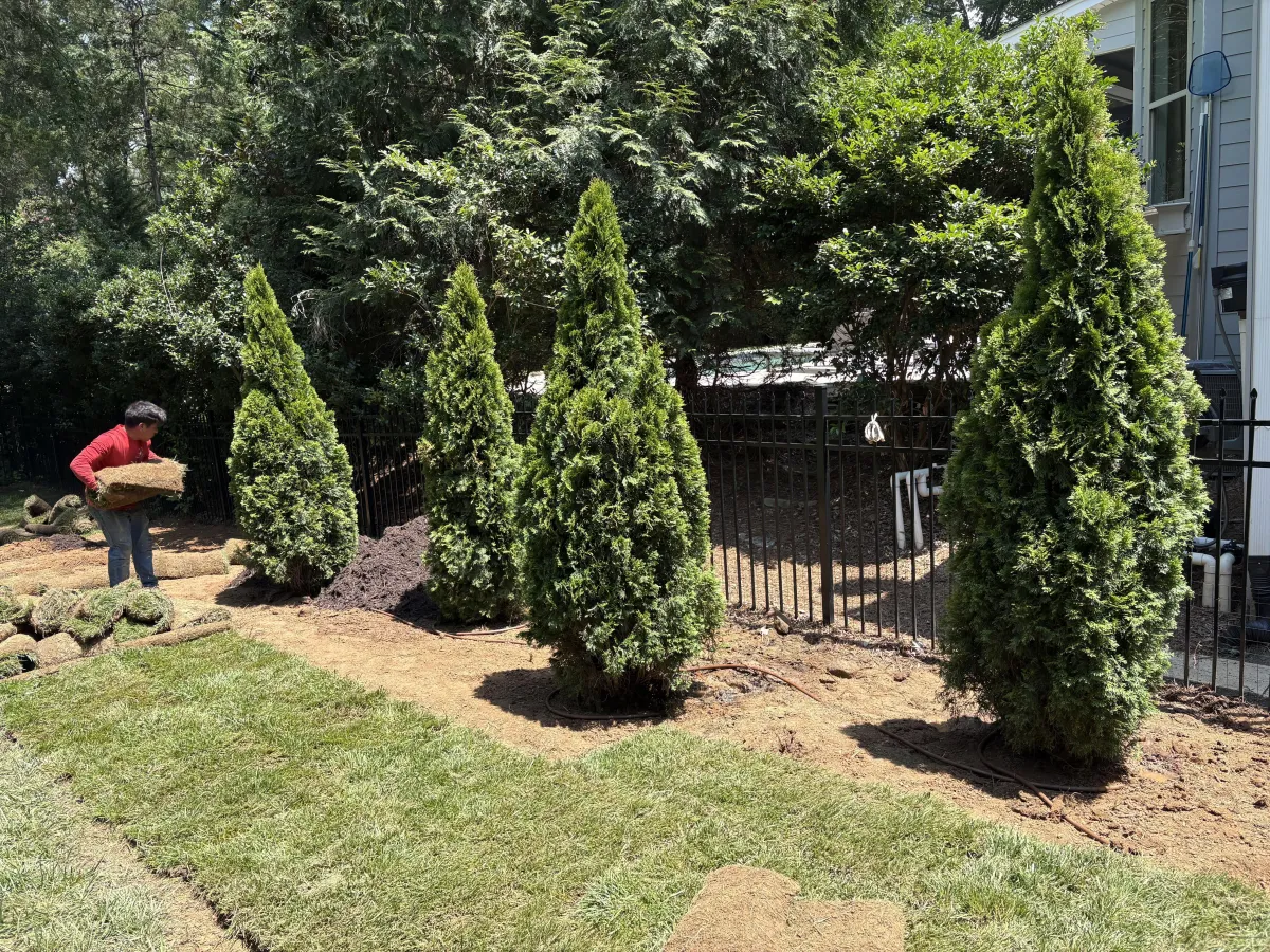 Landscape Design project in Denver, NC (Lake Norman service area)