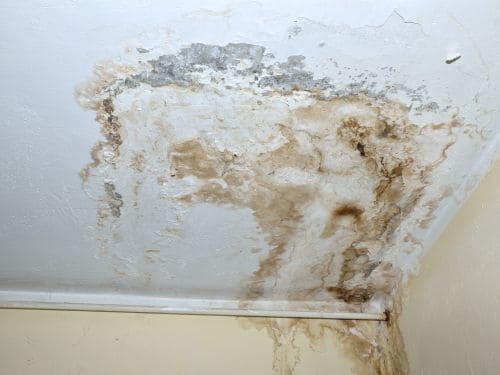 Smoke And Odor Removing in Salem