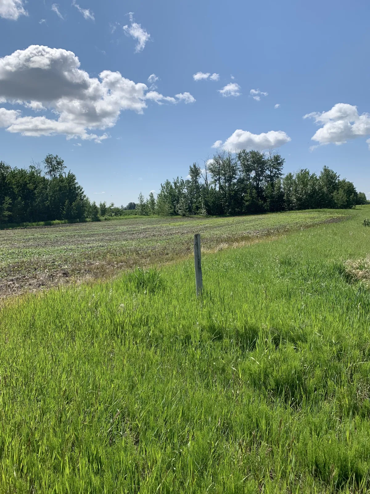 Thorhild County Acreages for Sale