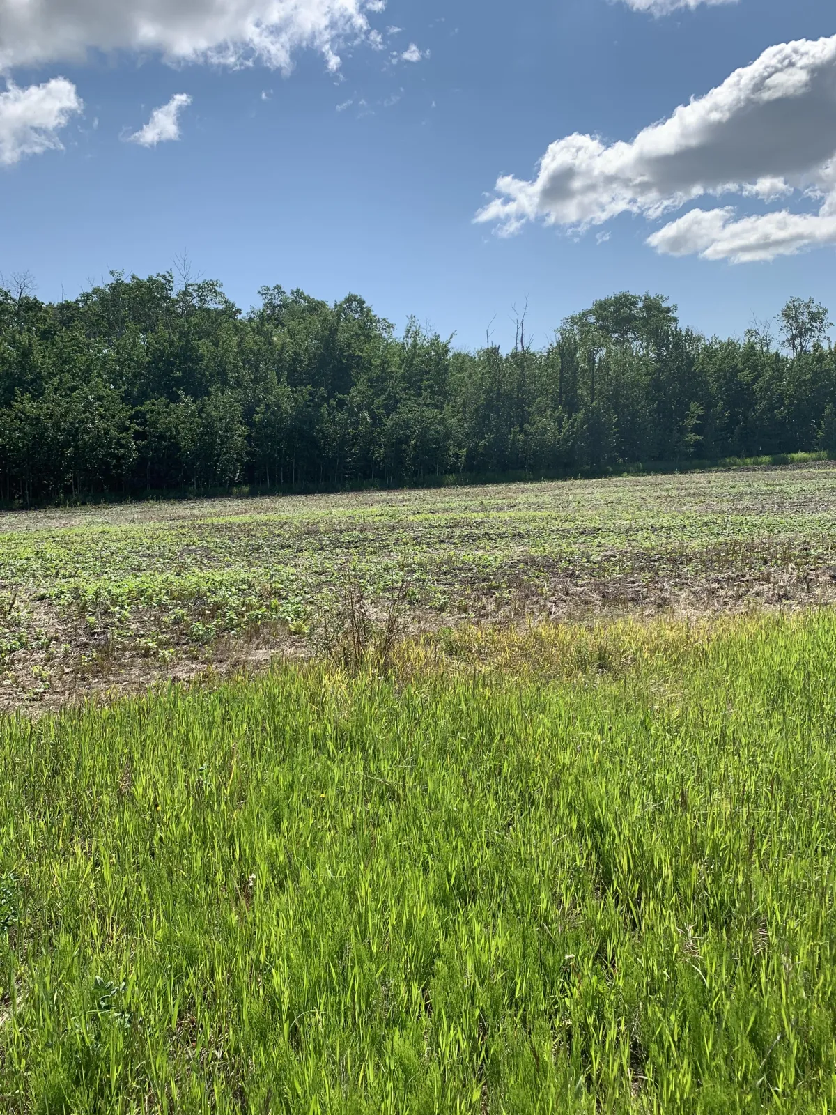 Thorhild County Acreages for Sale