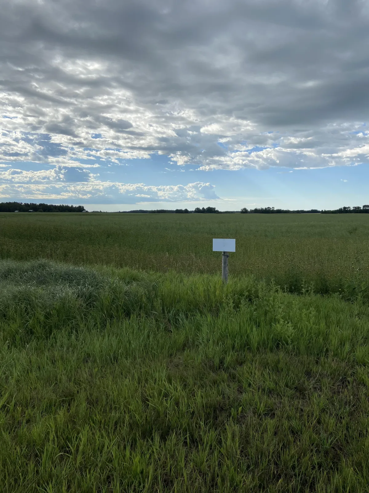 Thorhild County Acreages for Sale