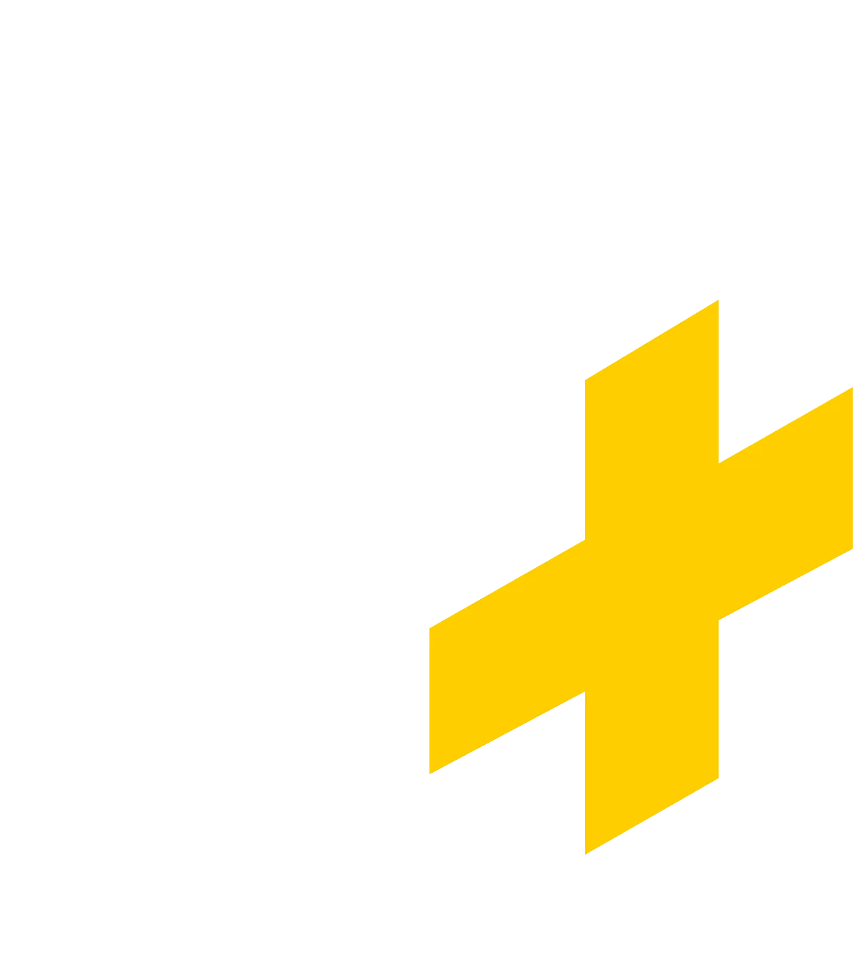 Lo+ Storage - Logotipo oficial