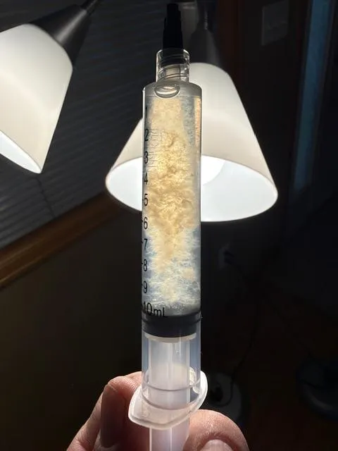 Genetics liquid cultures and spore syringes