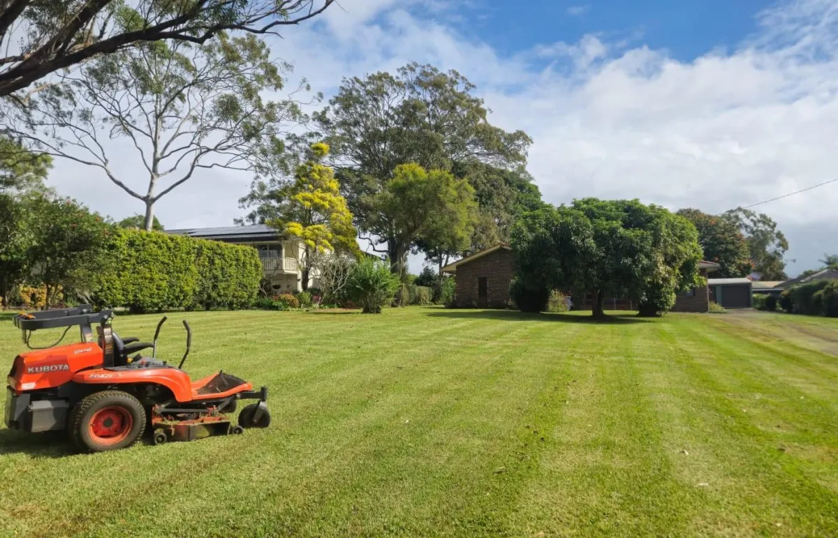 a lawn mower on the lawn