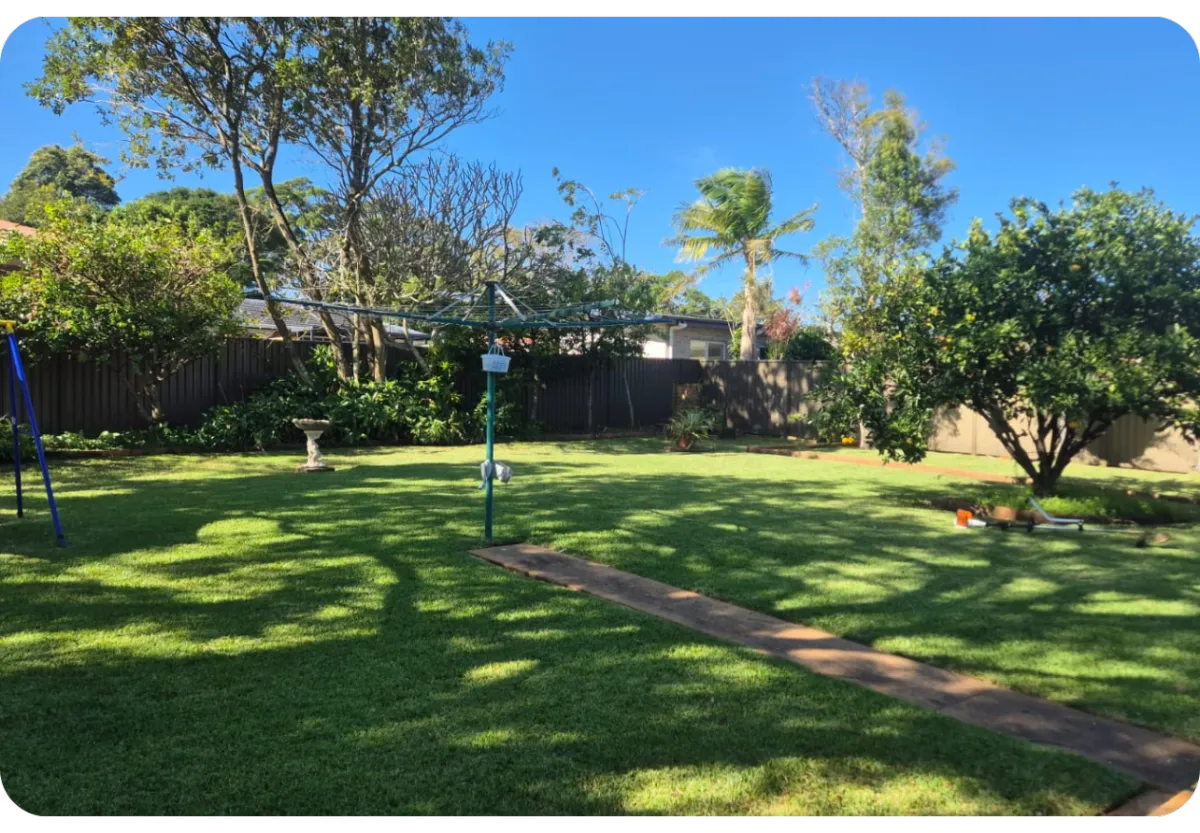 finished lawn