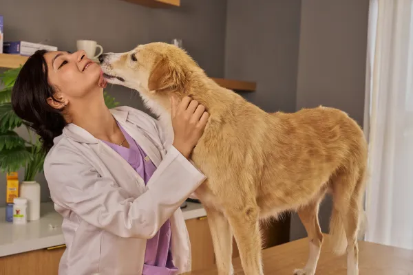 Happy Visits: How to Help Your Pet Feel More Comfortable at the Veterinary Clinic