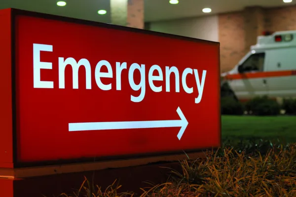 How to Know if Your Pet Is Having an Emergency