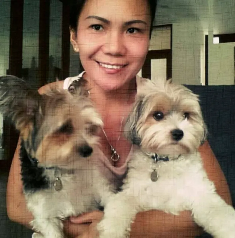 Woman in yellow gloves cleaning a table