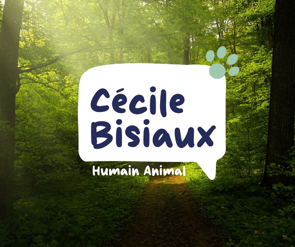Logo Cécile Bisiaux