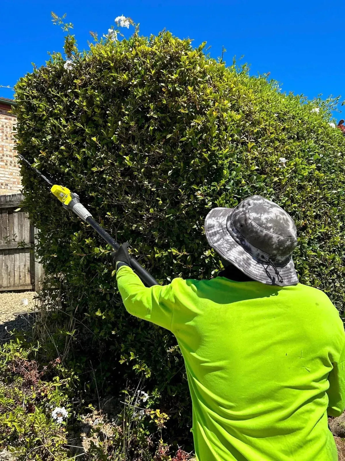 Professional hedge trimming services in Christchurch