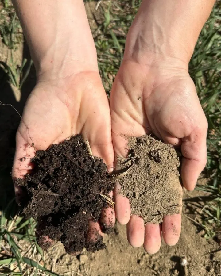Fort Collins Soil Improvement