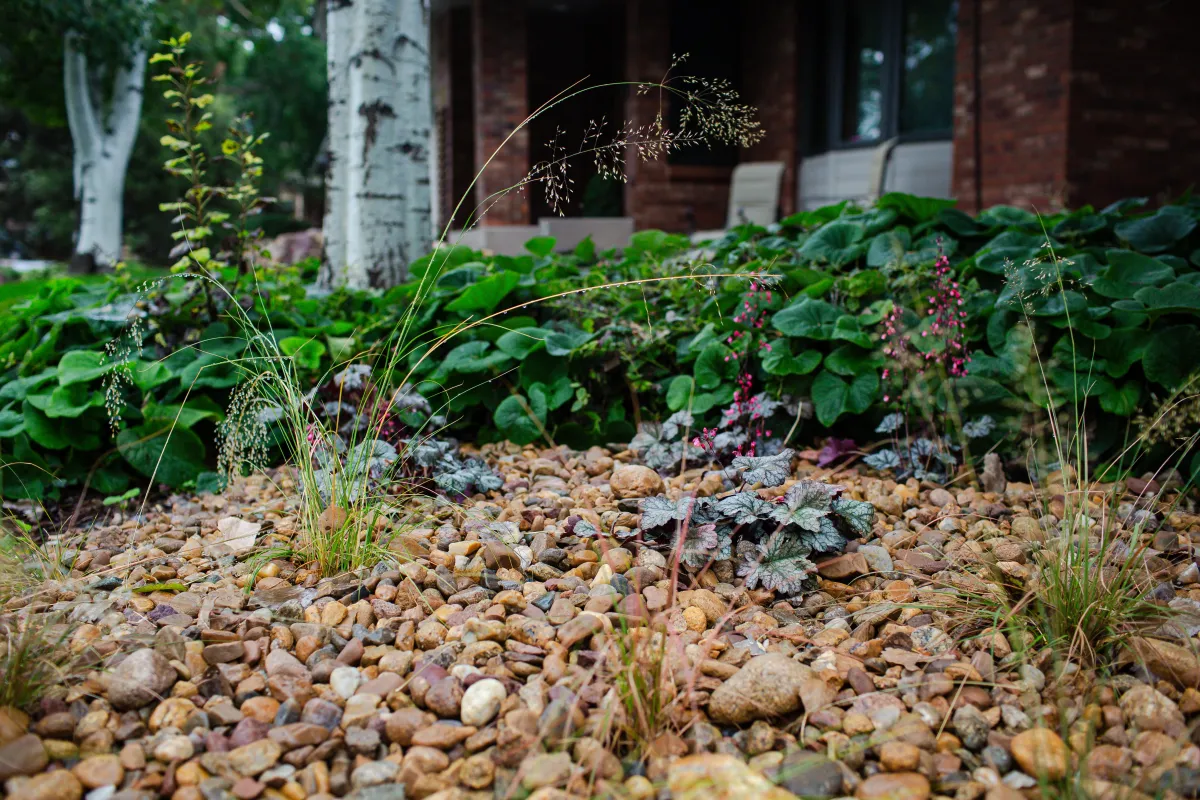 A recent Mother Gardener garden