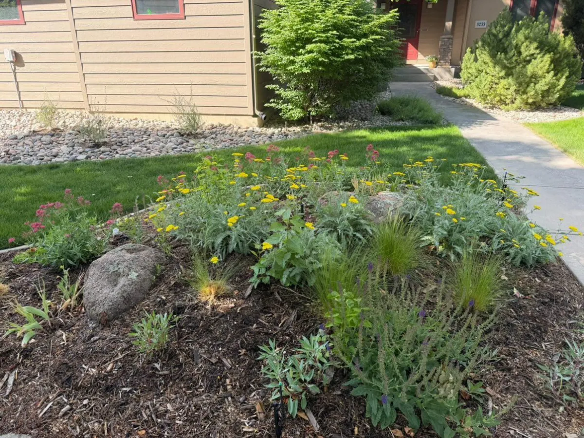 A recent Mother Gardener garden