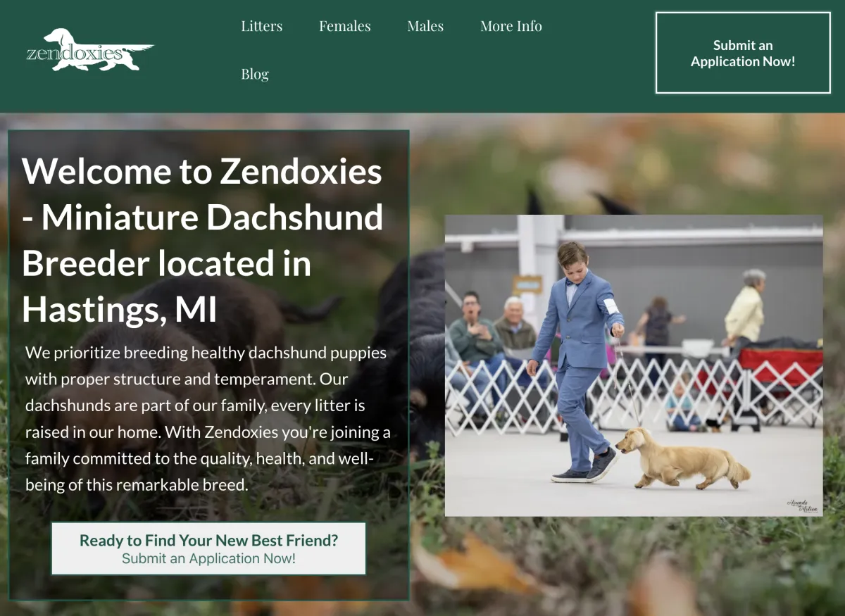 new website