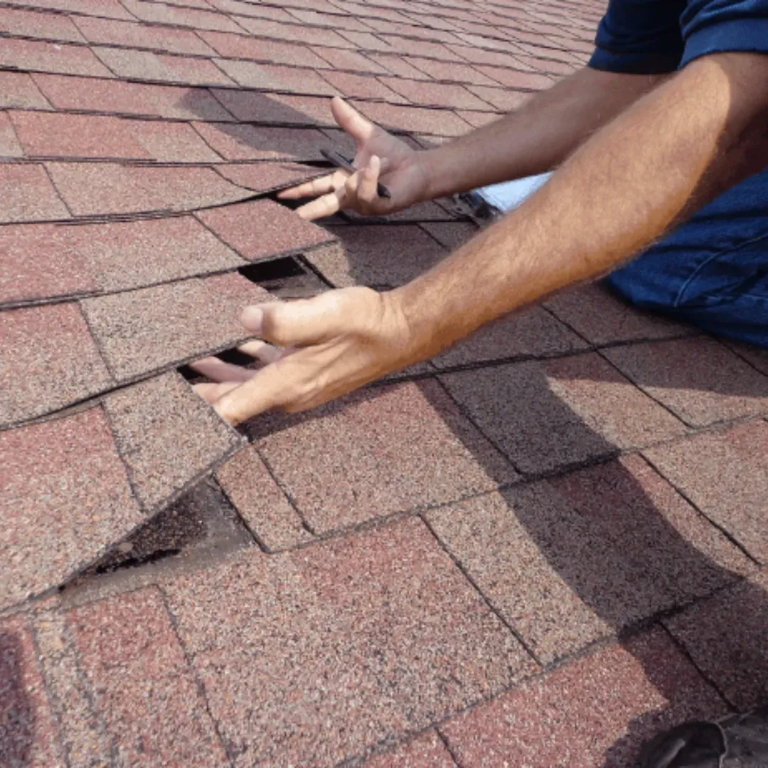 Contractor inspecting lifted asphalt shingles on roof in Central Texas during maintenance check