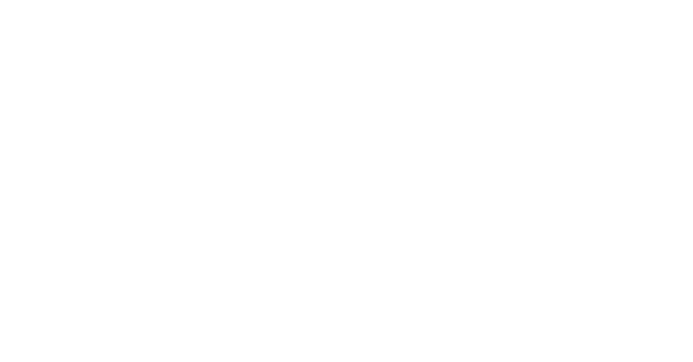 The Descent Dark Fusion Festival logo with Persephone and pomegranate