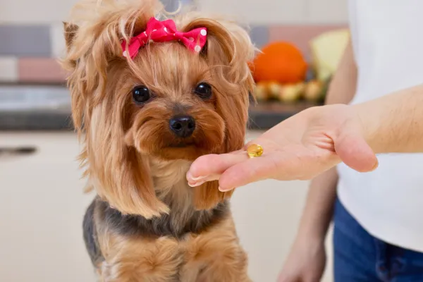 Pet Supplements Are a $3 Billion Market. The Reason They Are Buying Is the Reason They Are Also Choosing You.